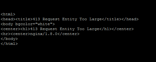 NGINX 413 Request Entity Too Large Error